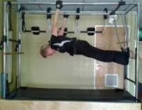 cadillac walk over picture